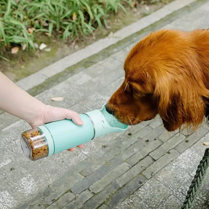 Dog Cat Pet Water Bottle Outdoor Portable Feeder Snazzy Supplies